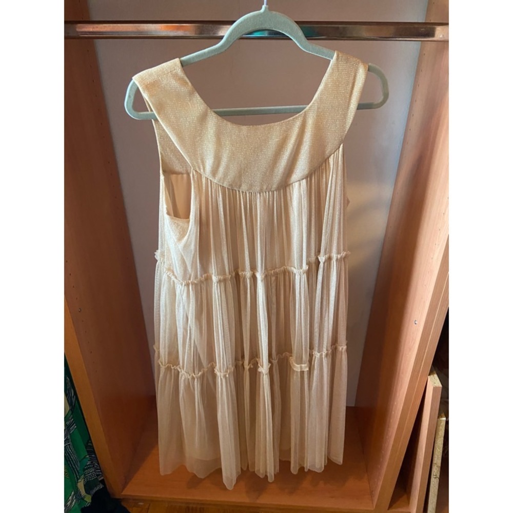 Bagdley Mischka (Mark and James Collection) Dress